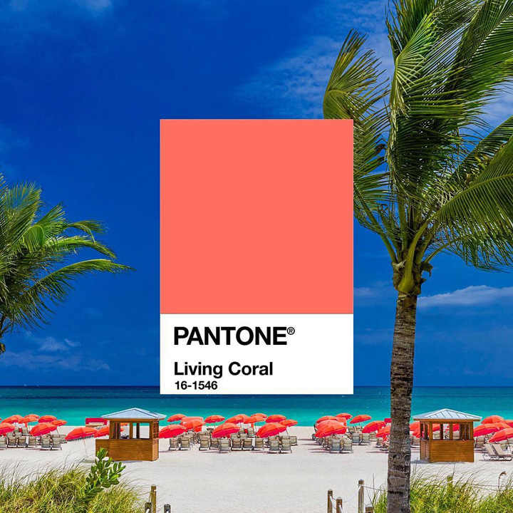 Pantone 2019ɫɺůĹռ